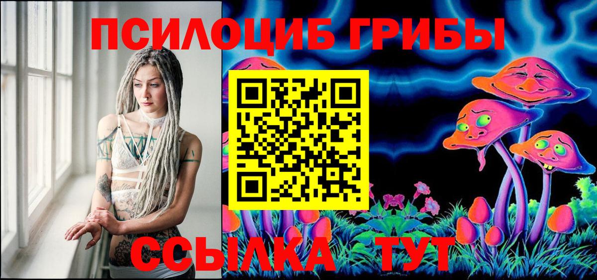 Галлюциногенные грибы мухоморы  Псилоцибиновые грибы Psilocybe  Унеча  Вход с VPN 