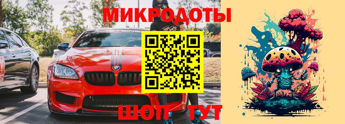 Псилоцибиновые грибы Psilocybe Унеча
